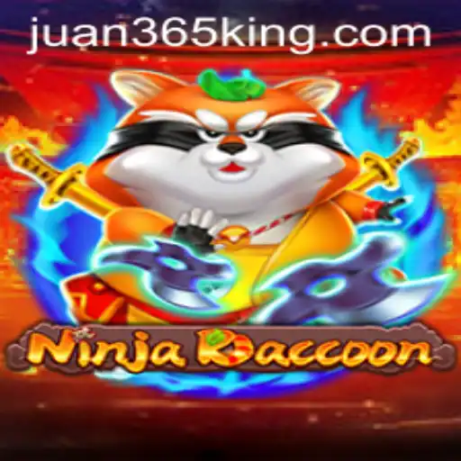NinjaRaccoon: Embarking on an Adventure with Juan365