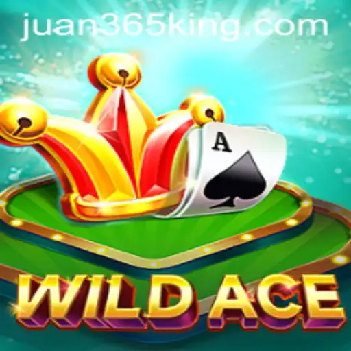 Discovering the Excitement of WildAce: The New Gaming Sensation